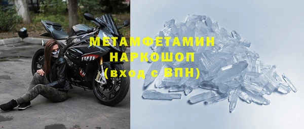 гидра Козловка