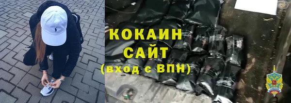 крисы Корсаков