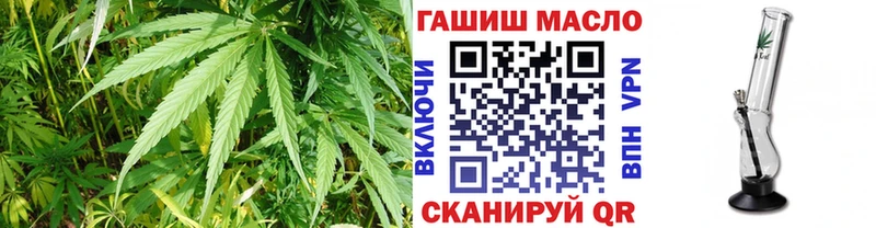 ТГК Wax  Красавино 